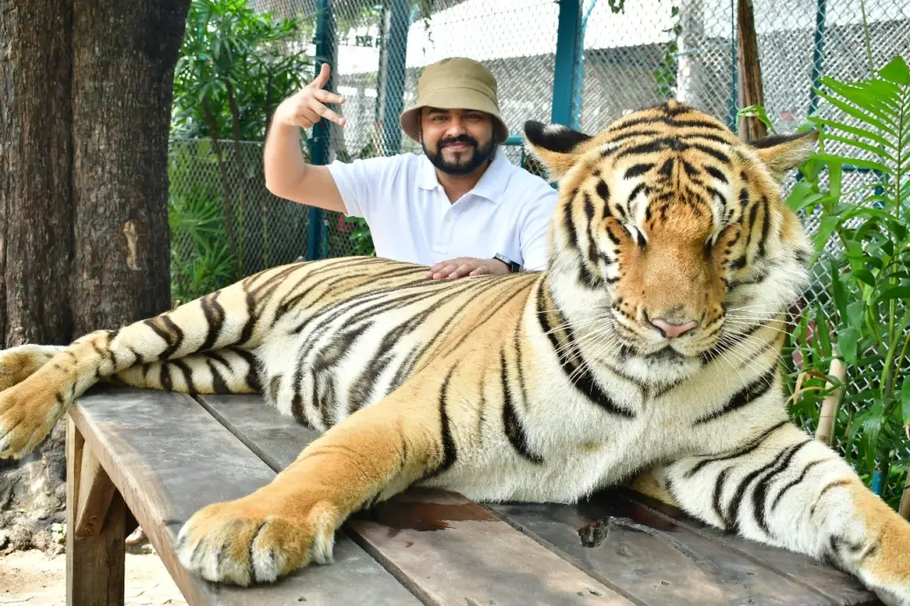 Tiger Park Pattaya Travel Package
