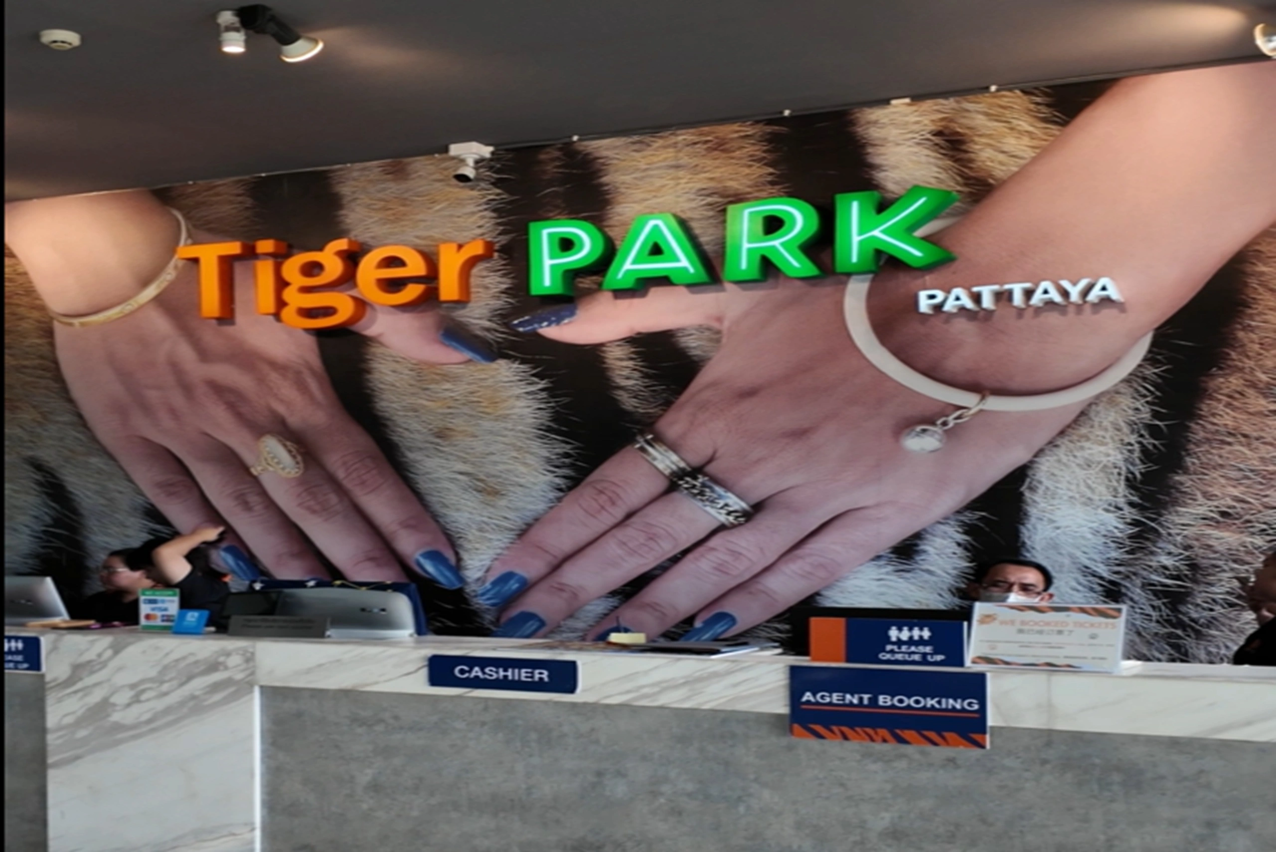 Pattaya tiger park (4)