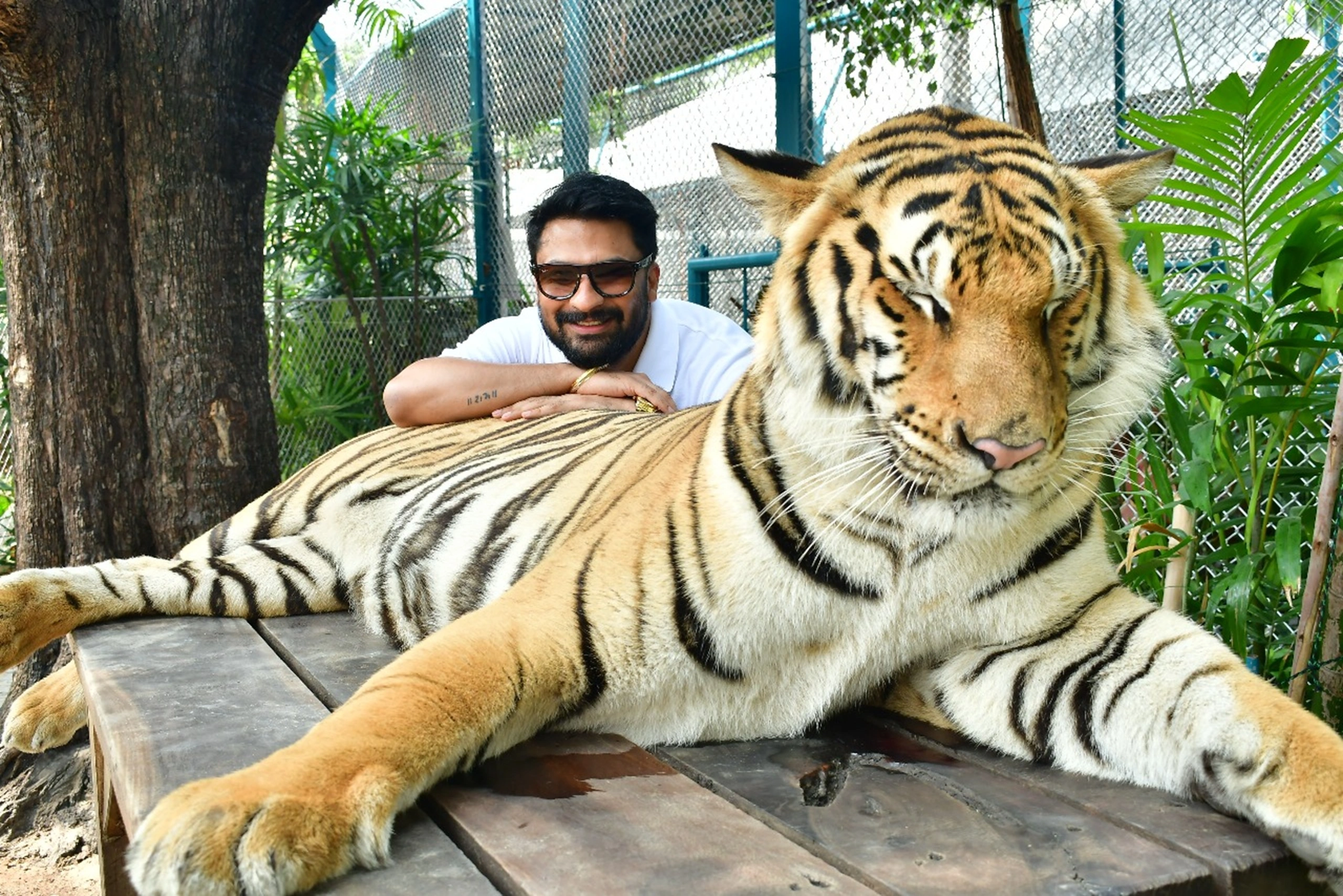 Pattaya tiger park (7)