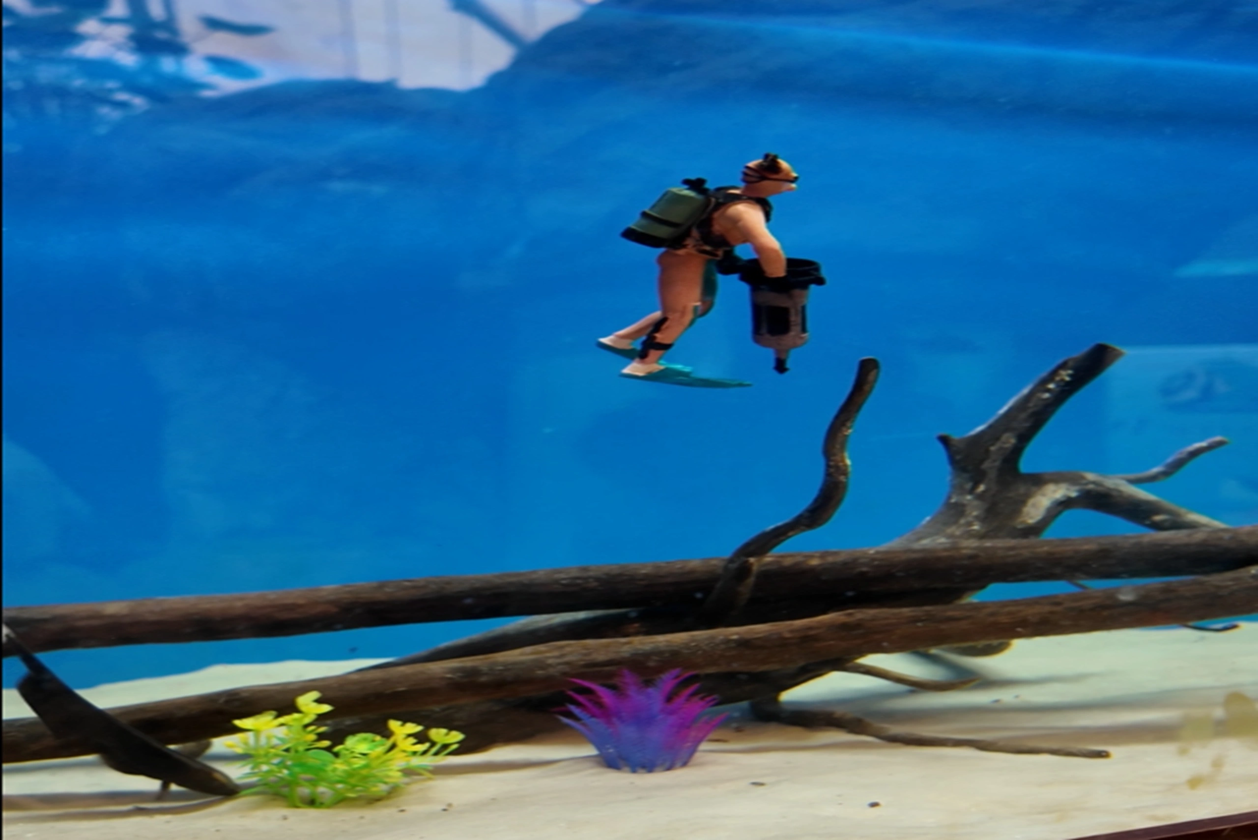 pattaya underwater (7) (1)