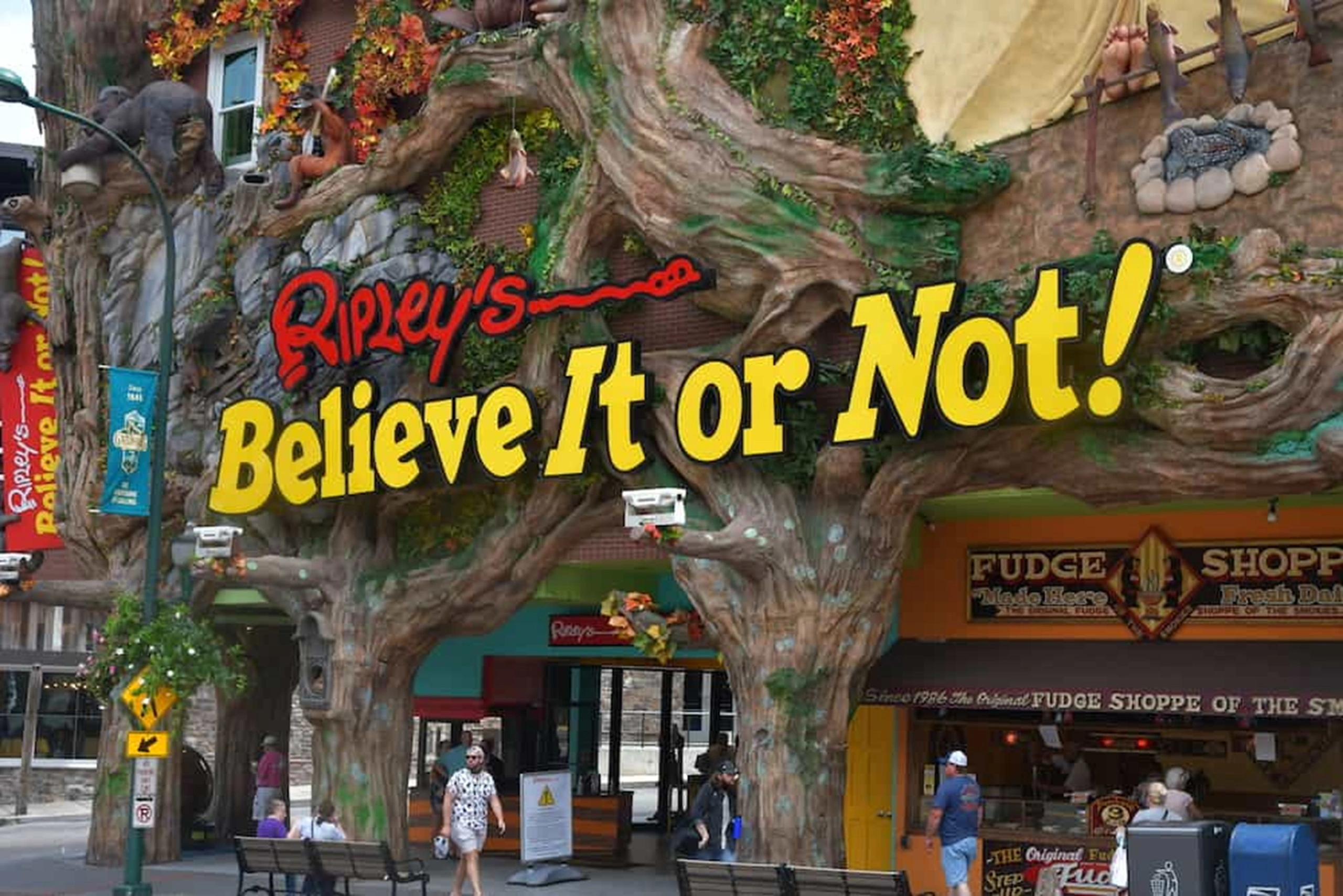 ripleys-believe-it