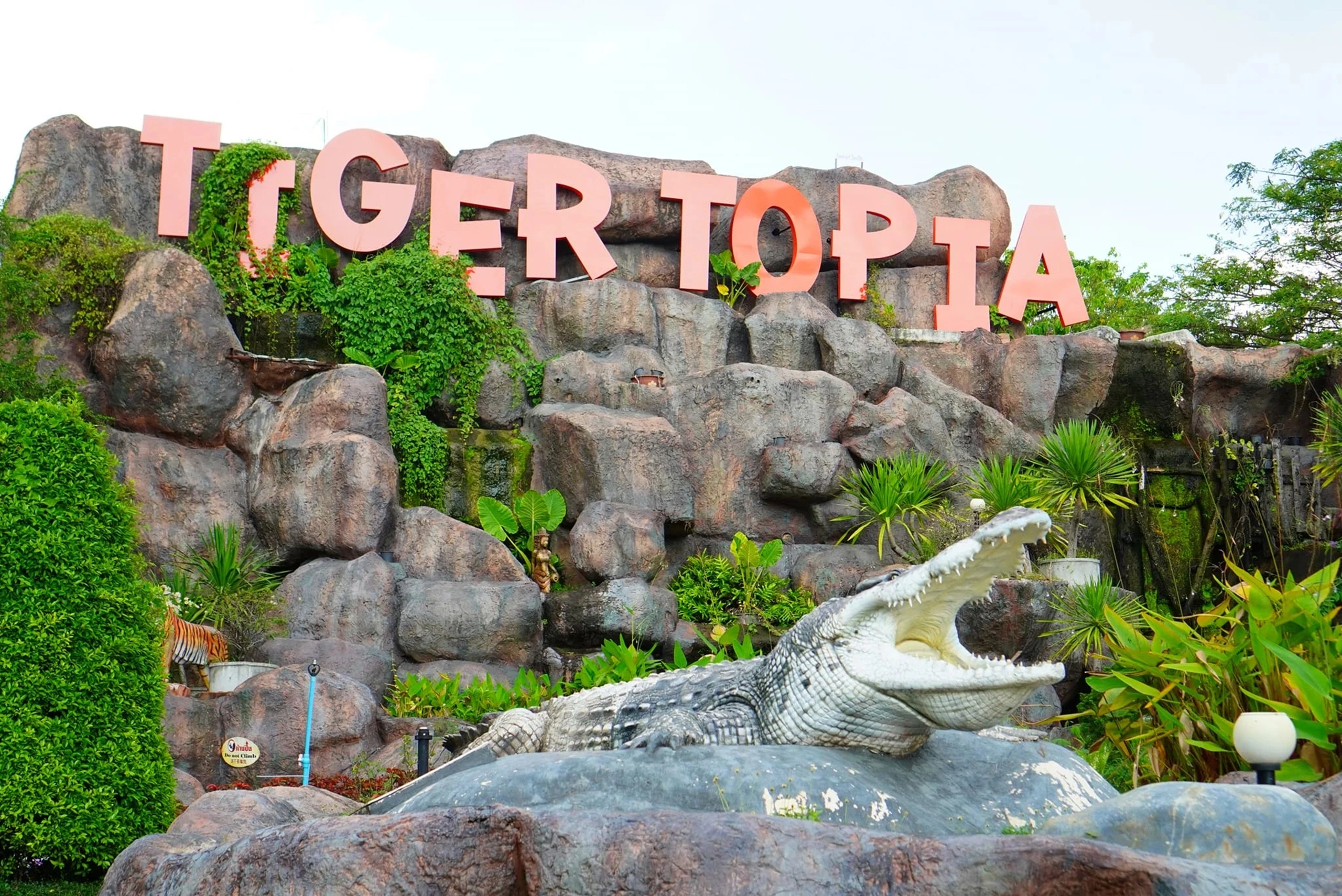 tiger-topia (3) (1)