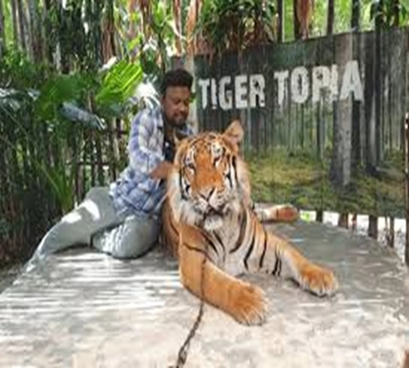 Tiger Topia Zoo Pattaya Travel Package
