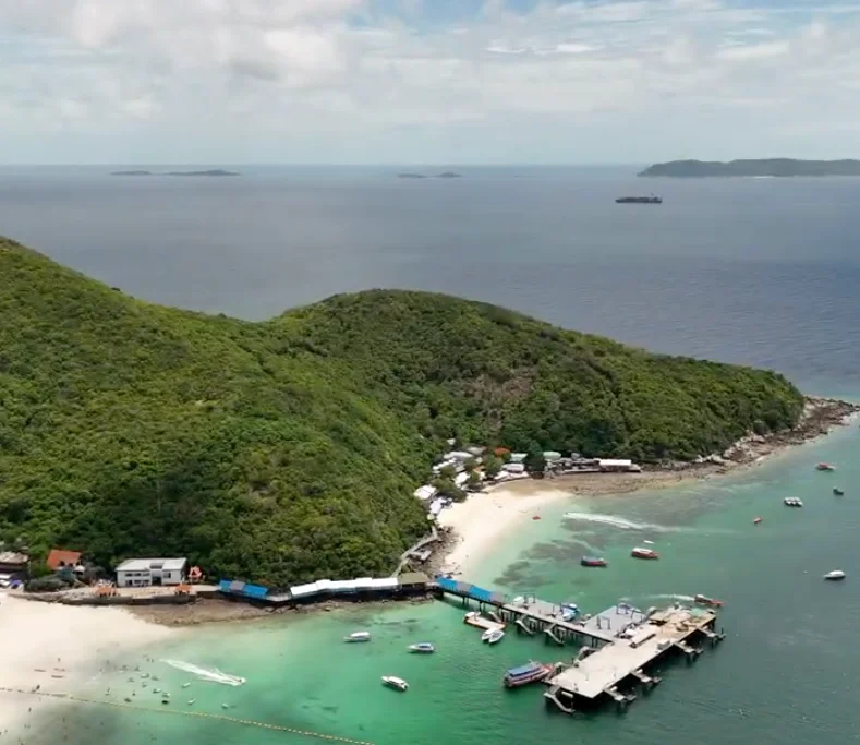 A professional tour van picking up guests from their hotel in Pattaya for the Coral Island speedboat adventure.